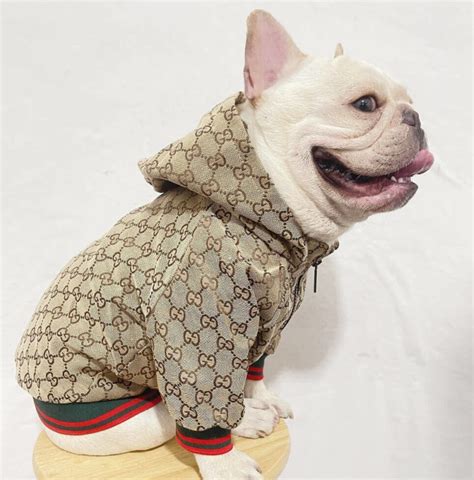 gucci dog range|gucci dog clothing.